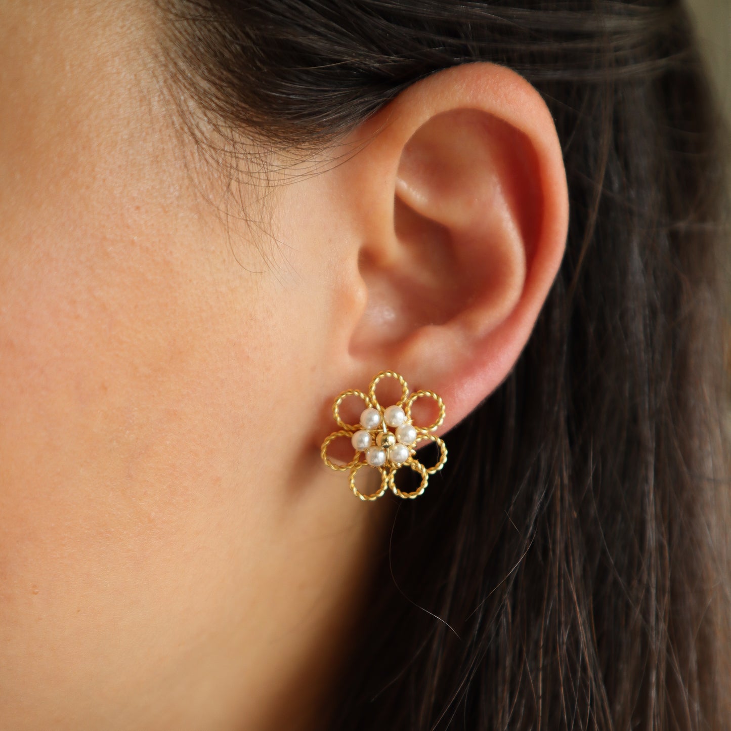 Aros Livia