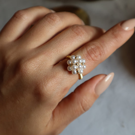 Anillo NIDO